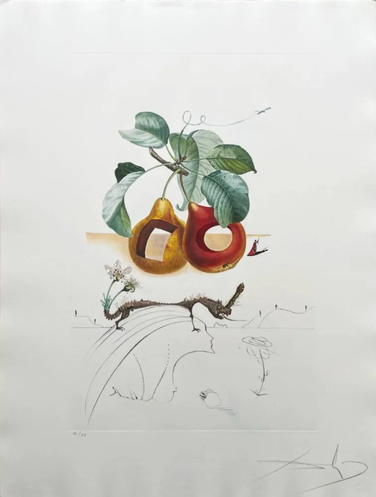 Lithograph Dali - Holed Fruit from Flordali suite