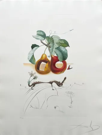Lithograph Dali - Holed Fruit from Flordali suite