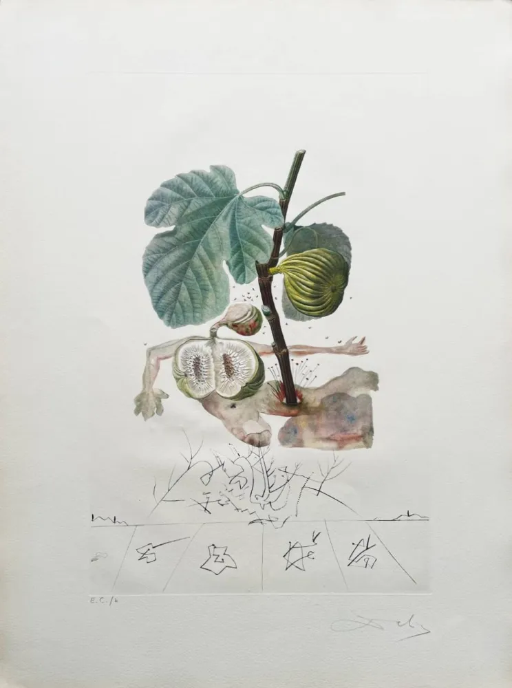Lithograph Dali - Homme figuier (Fig Man)