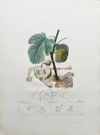 Lithograph Dali - Homme figuier (Fig Man)