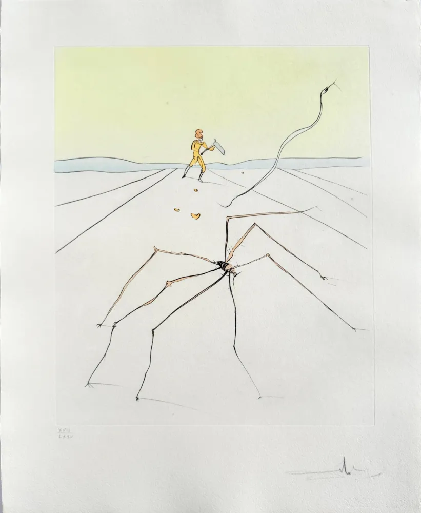 Drypoint Dali - Kumo (The weaver spider)