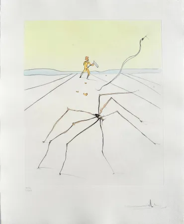Drypoint Dali - Kumo (The weaver spider)
