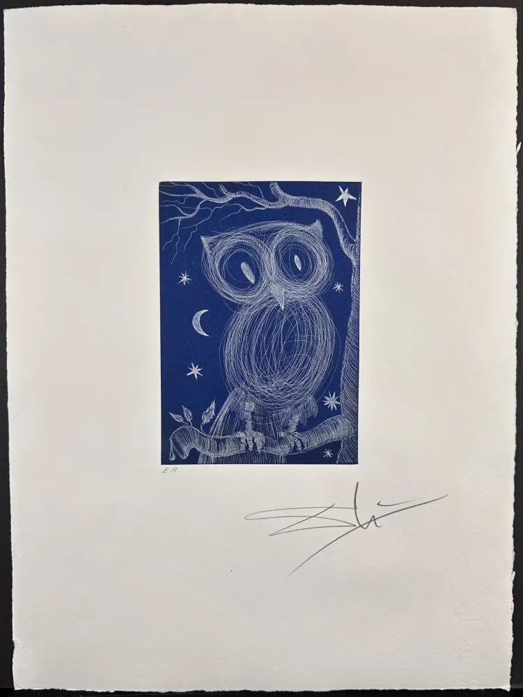 Etching Dali - La Petite Chouette 2