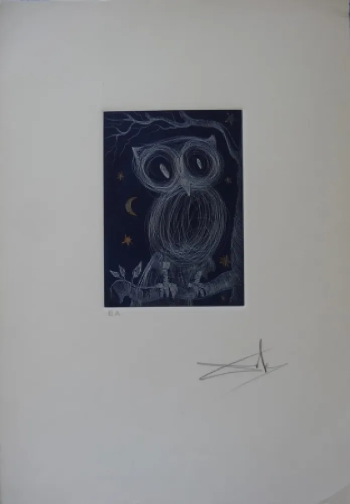 Engraving Dali - La petite chouette