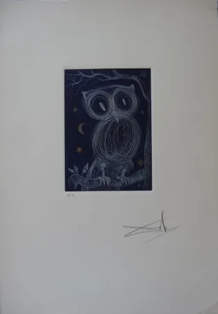 Engraving Dali - La petite chouette