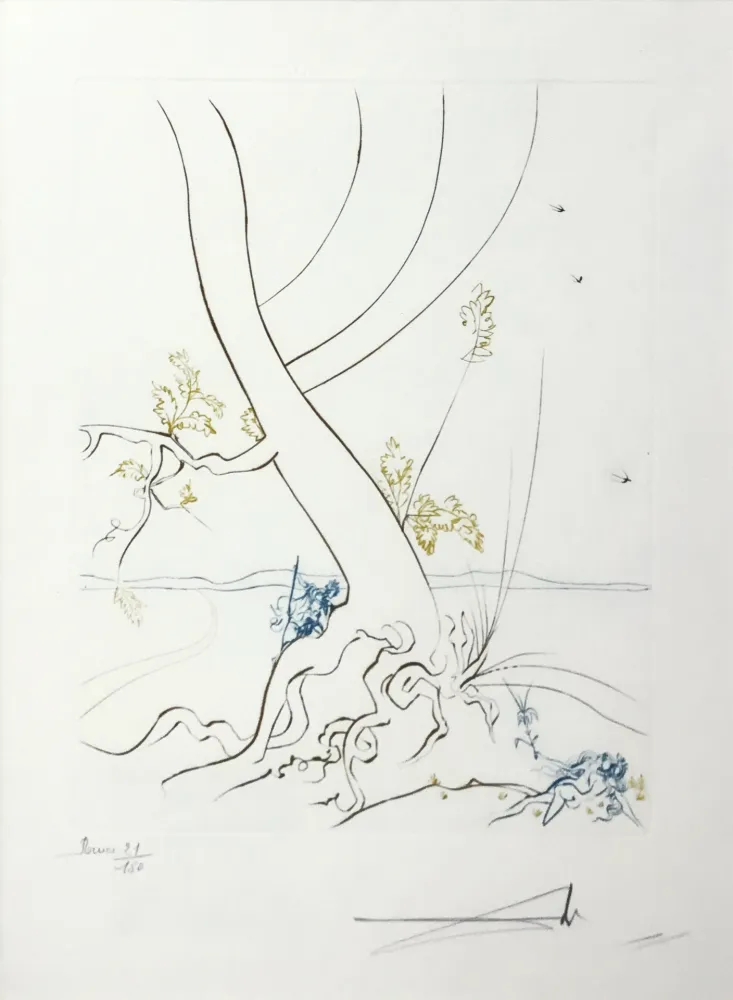Engraving Dali - L'ARBREDE CONNAISSANCE (THE TREE OF KNOWLEDGE)