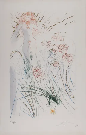 Etching Dali - Le bien-aimé se nourrit parmi les lys, 1971