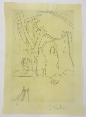 Drypoint Dali - Le désert avec sa piste d'orfereis ambonnees et d'ossements
