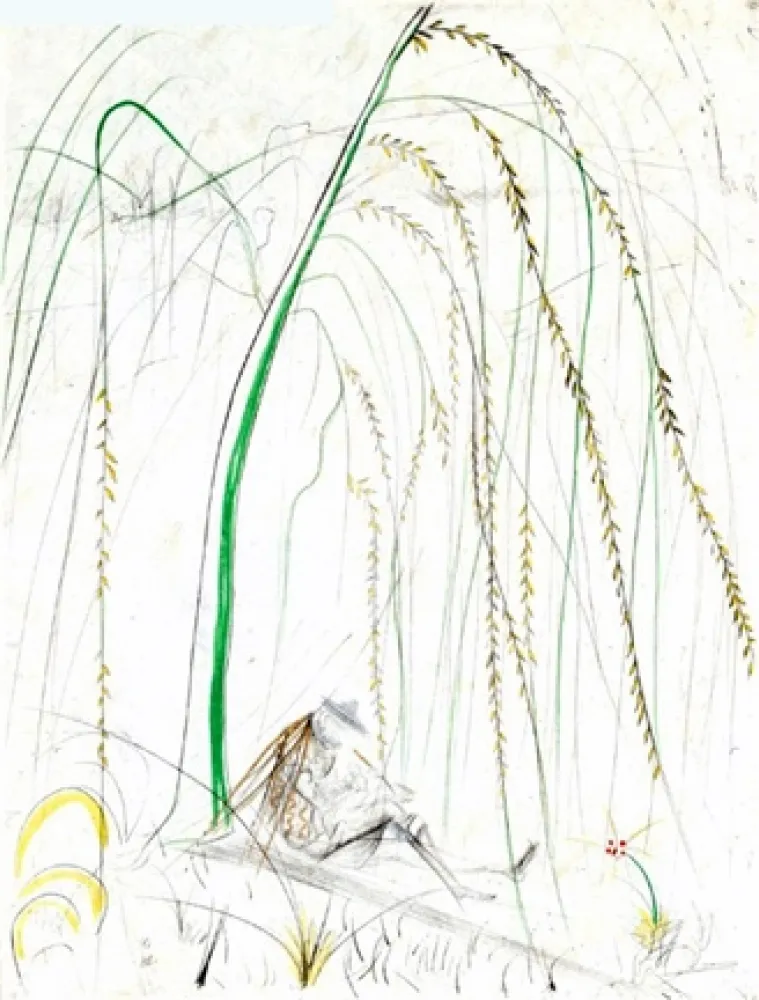 Etching Dali - Le Saule Pleurer (Weeping Willow)