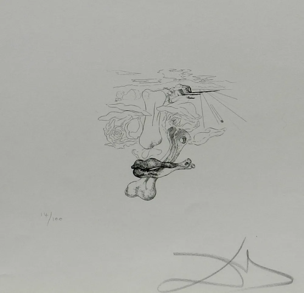 Etching Dali - Les Chantes de Maldoror Carnal Transfiguration