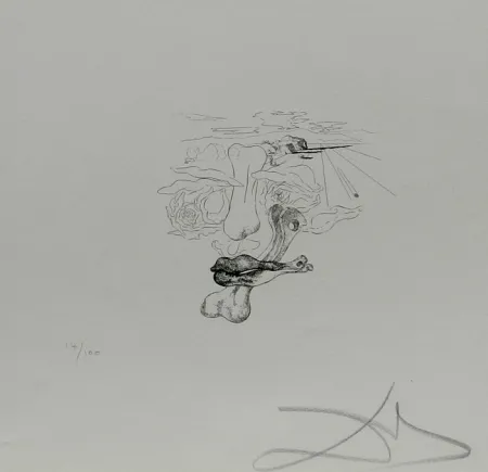 Etching Dali - Les Chantes de Maldoror Carnal Transfiguration