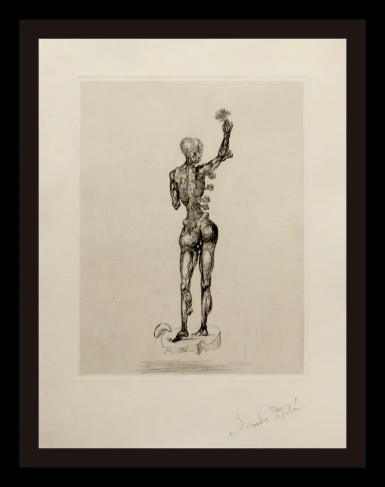 Etching Dali - Les Chants de Maldoror (Figure)