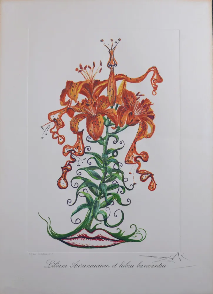 Multiple Dali - Lilium Aurancacium et labra barocantia, 1972 - Hand-signed!