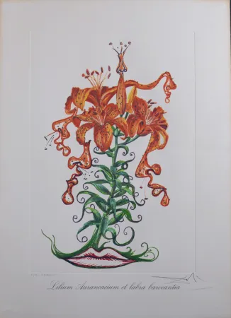 Multiple Dali - Lilium Aurancacium et labra barocantia, 1972 - Hand-signed!