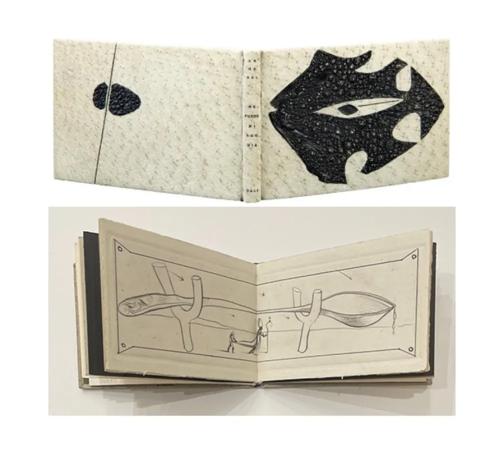 Illustrated Book Dali - ME PUDRE MI AGONIA