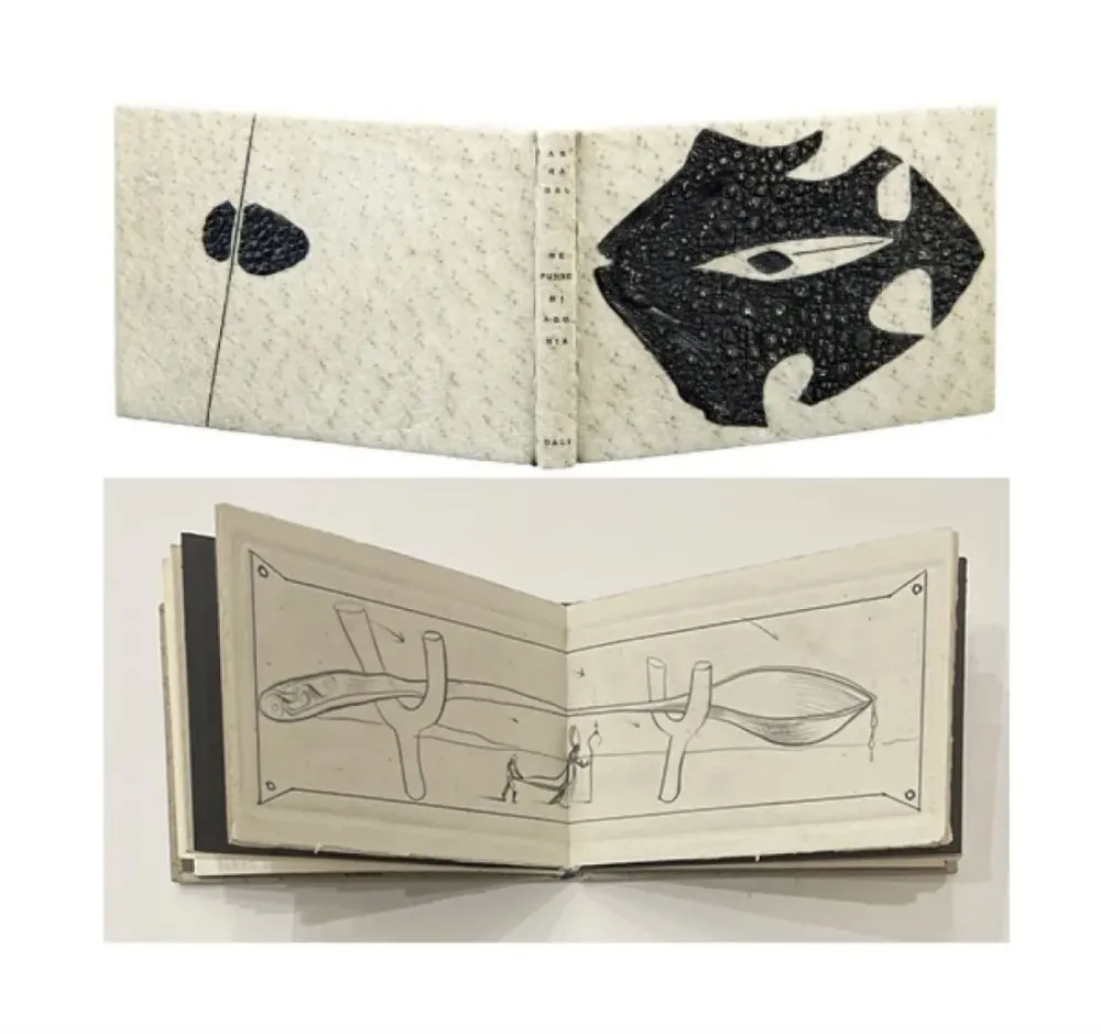 Illustrated Book Dali - ME PUDRE MI AGONIA
