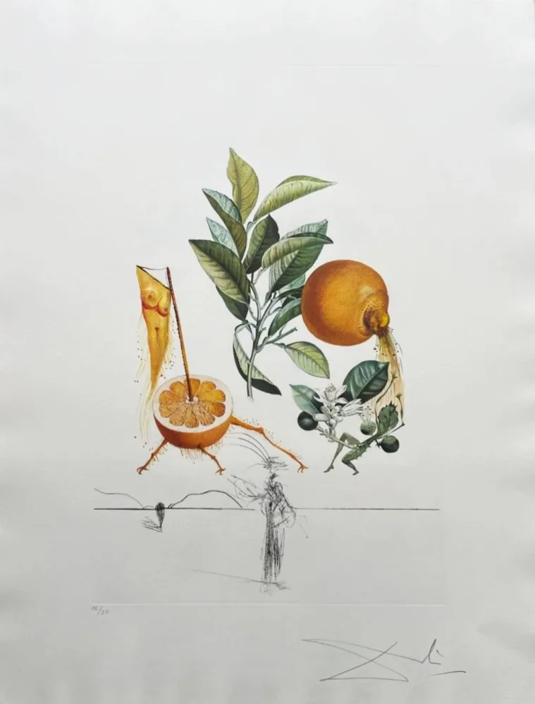 Lithograph Dali - Pamplemousse érotique (Erotic Grapefruit)