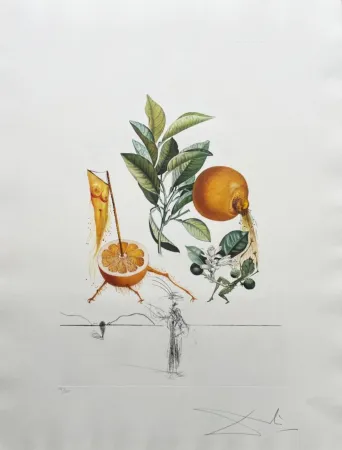 Lithograph Dali - Pamplemousse érotique (Erotic Grapefruit)