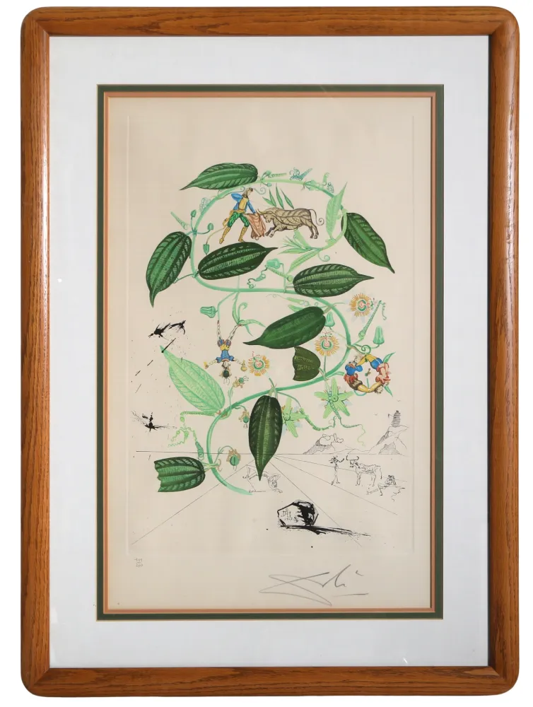 Etching Dali - Passiflora Laurigera