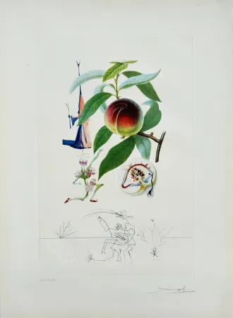 Lithograph Dali - Penitent Peach-tree from Flordali suite