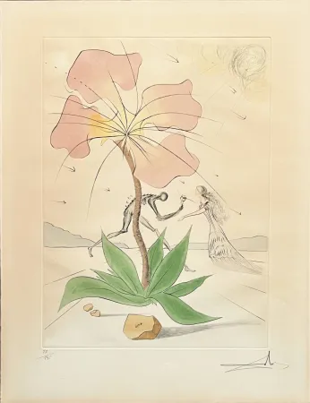 Engraving Dali - Reuben