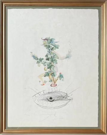 Lithograph Dali - Révérence du groseillier (Curtsying Gooseberry Bush)