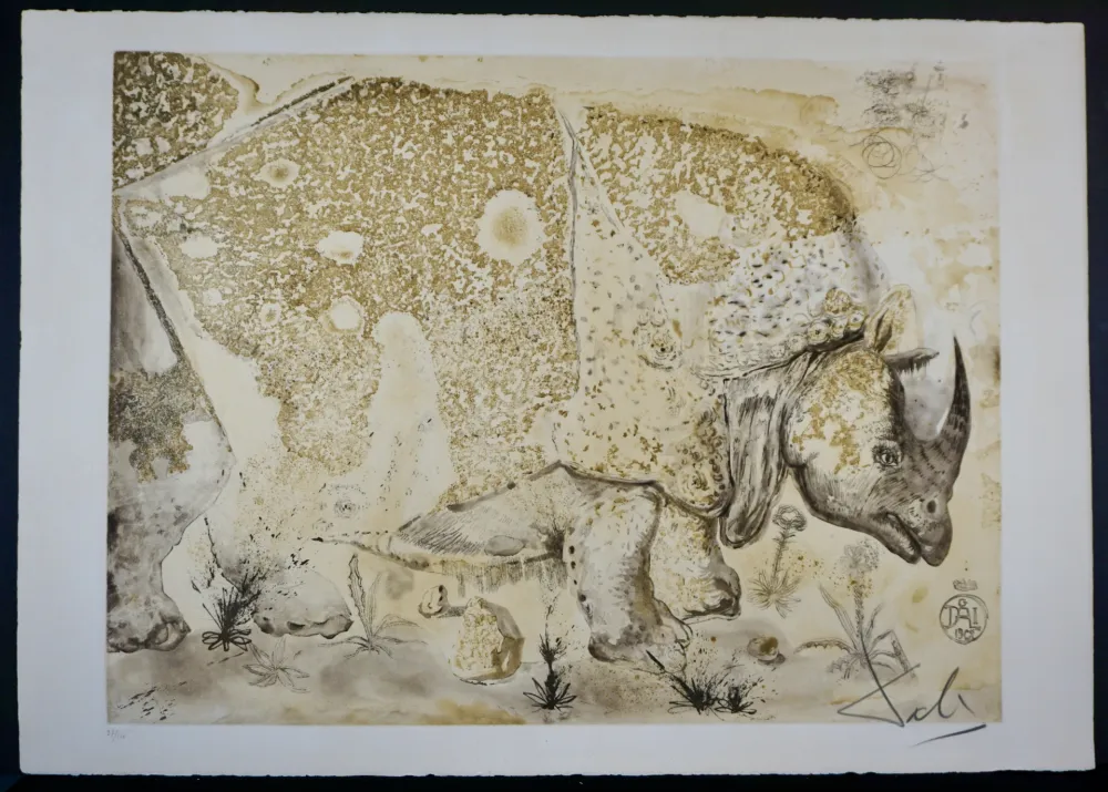 Etching Dali - Rhinoceros