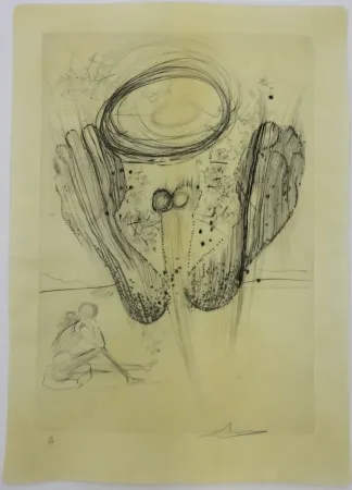 Drypoint Dali - Sa someter n'appartenait ni au hasard ni a la nature