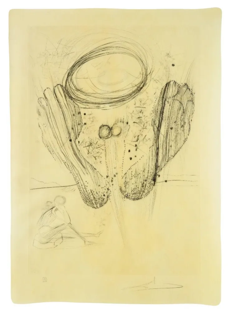 Drypoint Dali - Sa symetrie n'appartenaint ni au hasard..