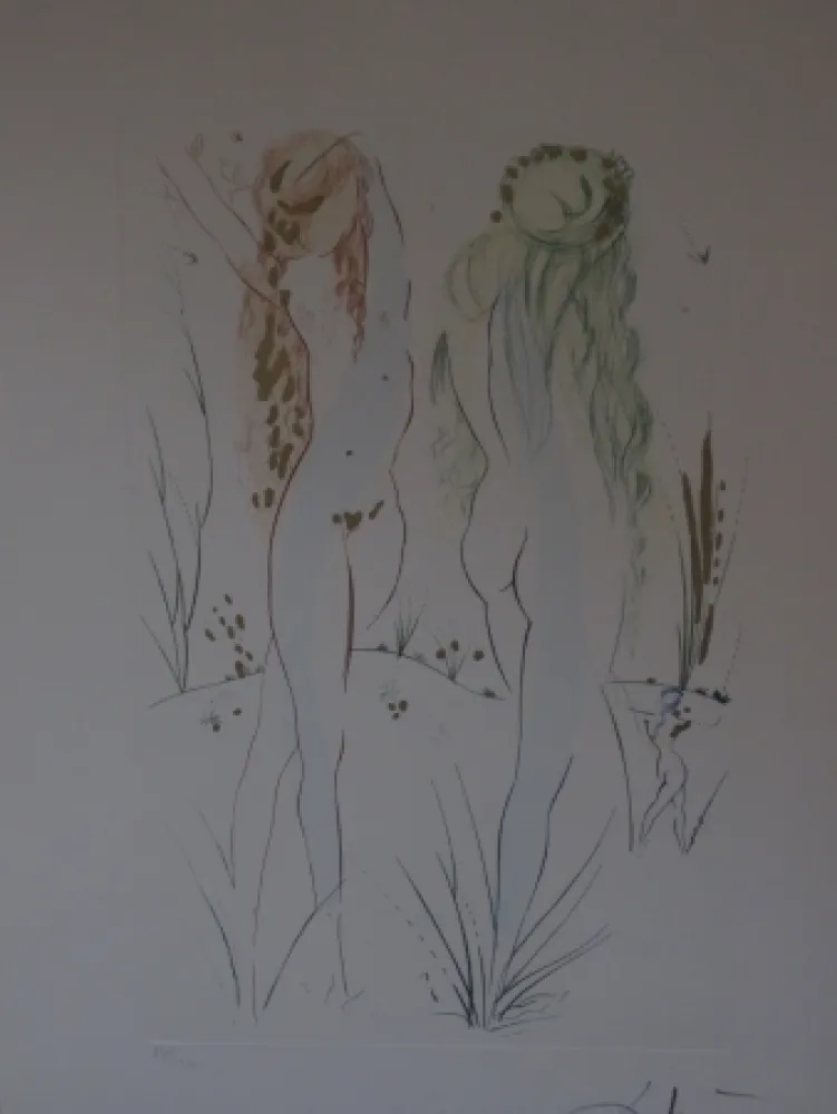 Etching And Aquatint Dali - Sans titre