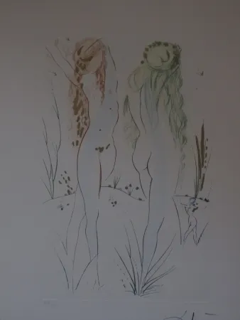 Etching And Aquatint Dali - Sans titre