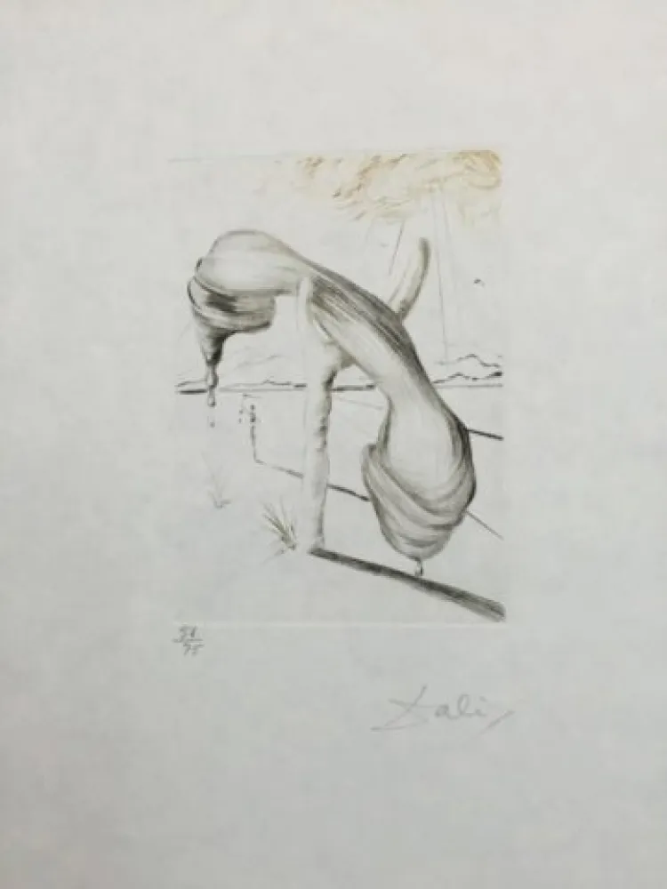 Drypoint Dali - Teléphone Mou