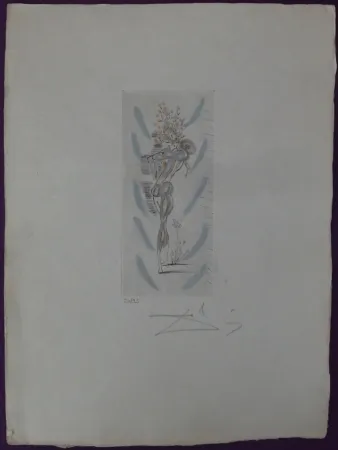 Engraving Dali - Tête d'épines