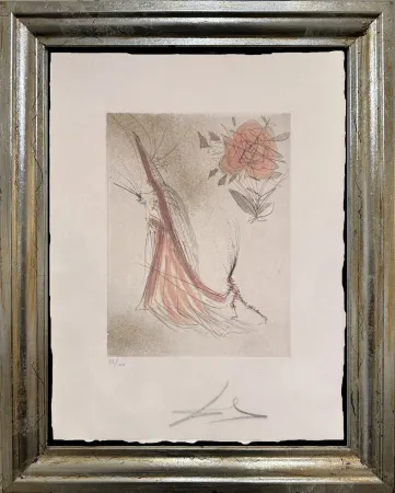 Drypoint Dali - The Ghost and the Rose (The Spectre and the Rose)