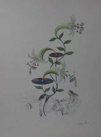 Etching Dali - The Lily - Lilium Musicum