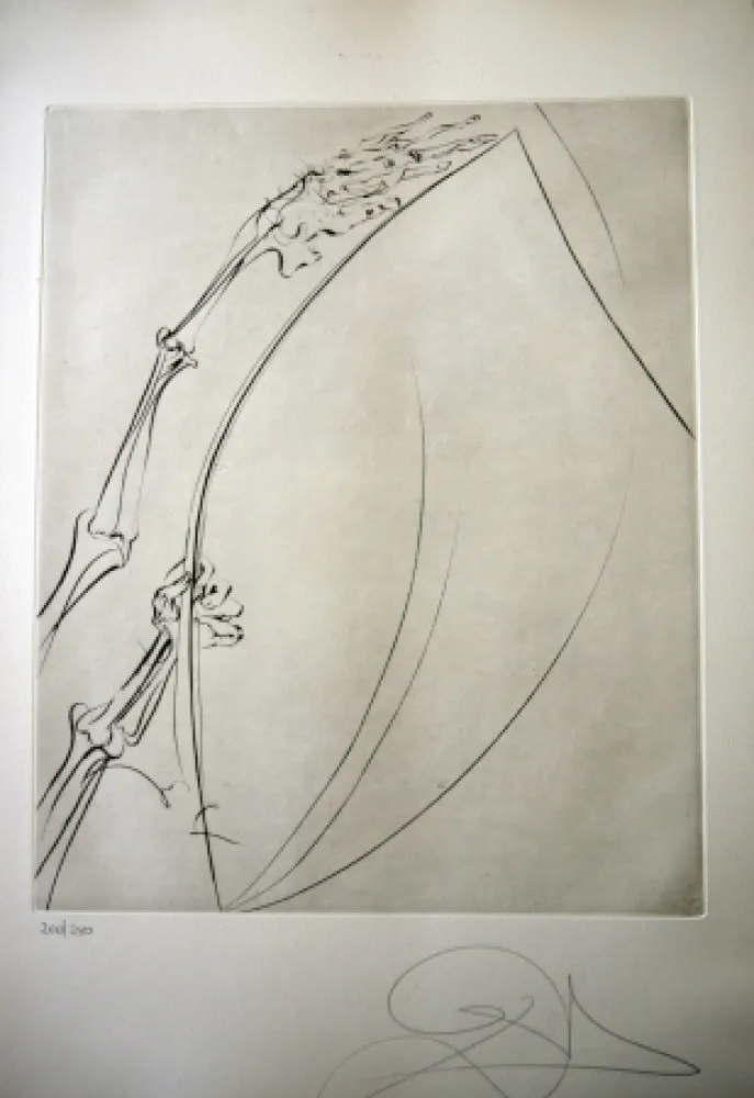 Drypoint Dali - THE ROD