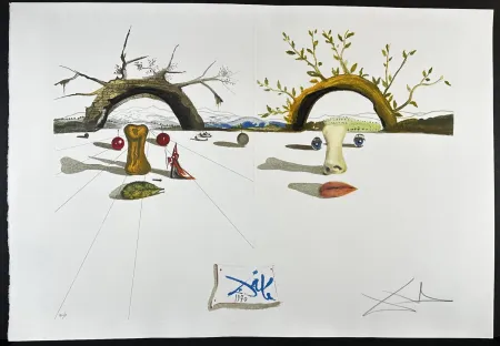 Etching Dali - Winter Summer