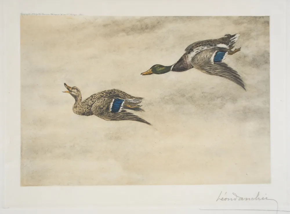 Engraving Danchin - 06 Canards de passage - Two passing Ducks (Original)