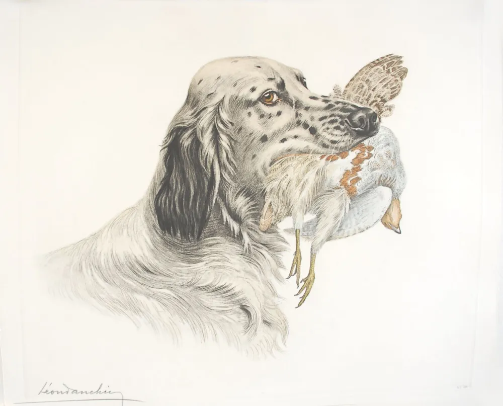 Engraving Danchin - 49 Setter et Perdrix - English Setter and Partridge (Original)