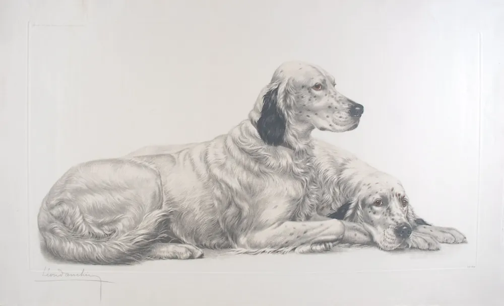 Etching Danchin - Deux Setters couchés (Setters au repos) - Two English Setters at rest