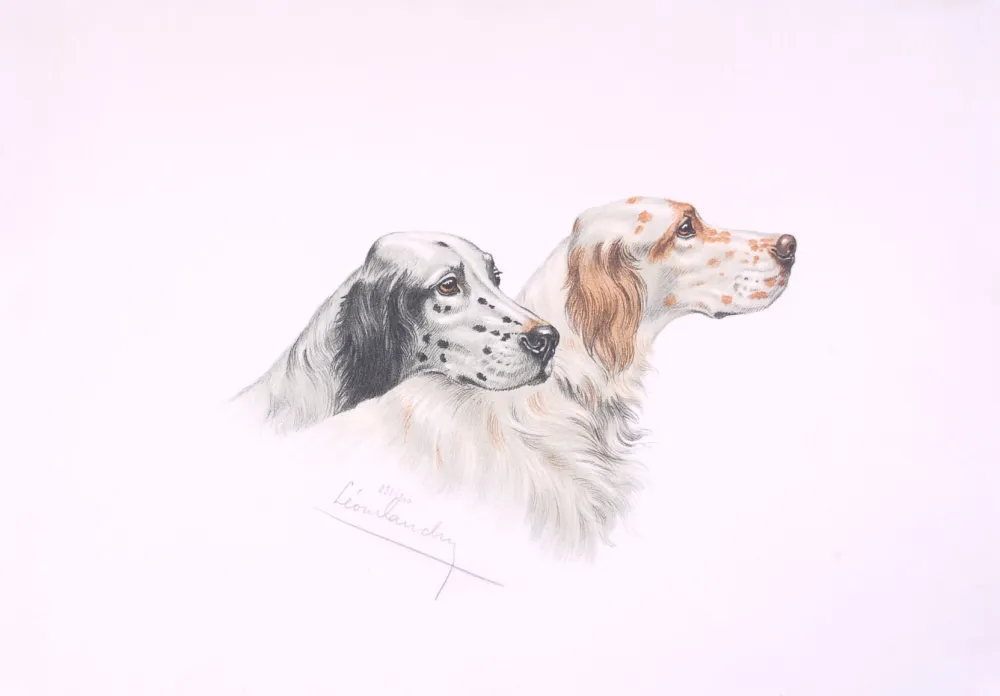 Lithograph Danchin - Deux têtes de Setters - Two Setters heads (Original)