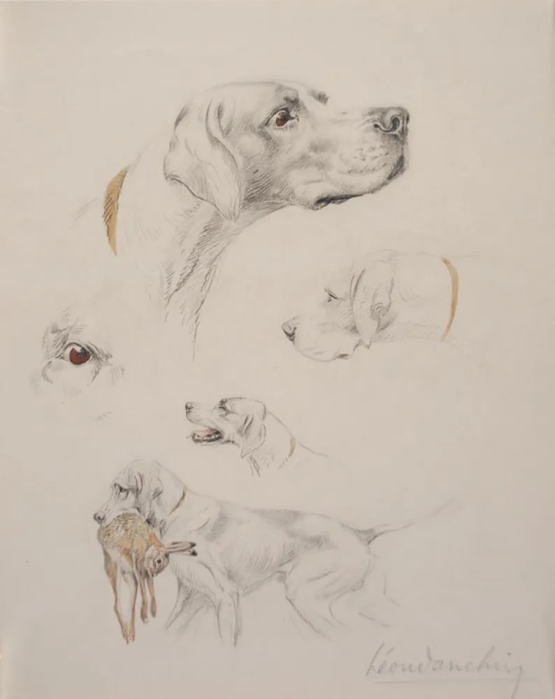 No Technical Danchin - Etude de pointer