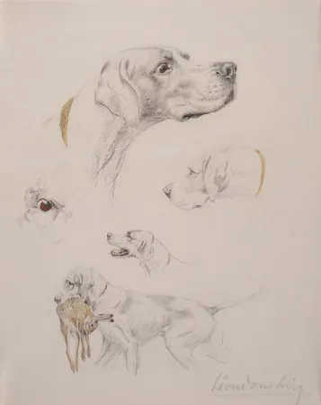 No Technical Danchin - Etude de pointer