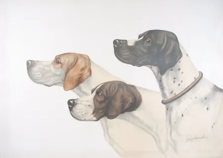 Lithograph Danchin - Three Pointer head - Trois têtes de Pointer (Original)