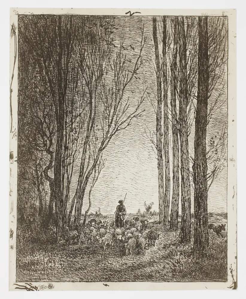 No Technical Daubigny - La Rentrée du Troupeau (Return of the Flock)