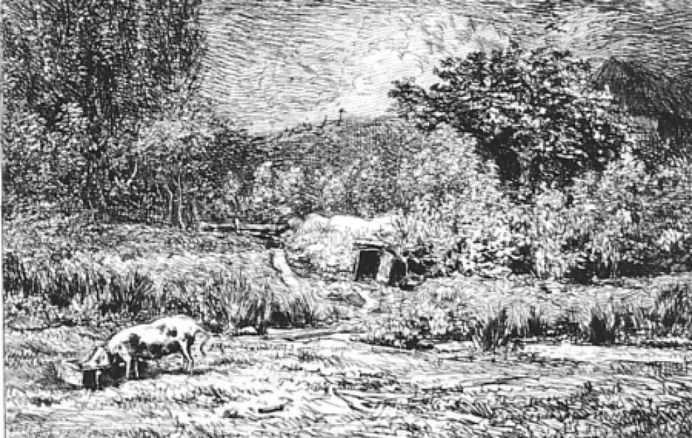 Engraving Daubigny - Le cochon dans un verger