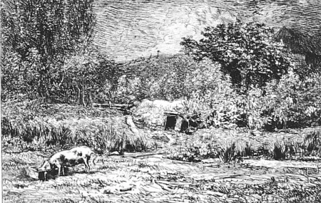 Engraving Daubigny - Le cochon dans un verger
