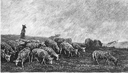 Engraving Daubigny - Le guet du chien