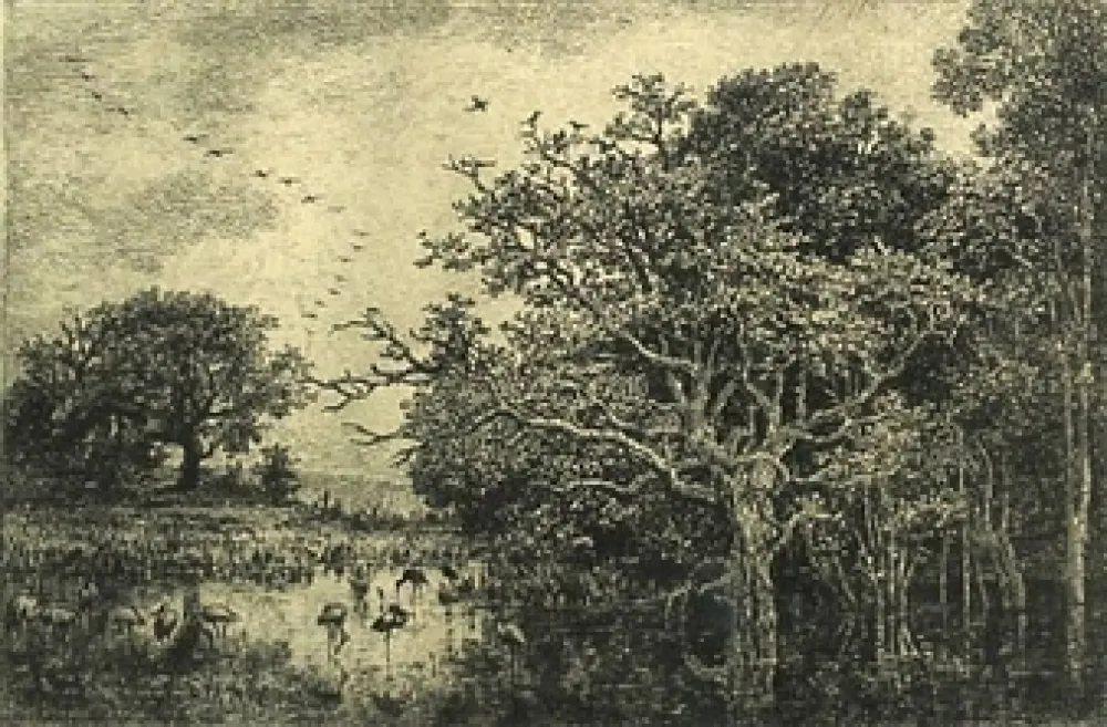 Etching Daubigny - Le marais aux cigognes