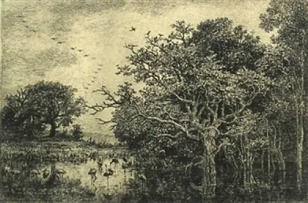 Etching Daubigny - Le marais aux cigognes